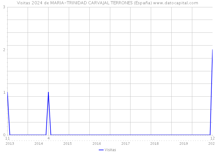 Visitas 2024 de MARIA-TRINIDAD CARVAJAL TERRONES (España) 