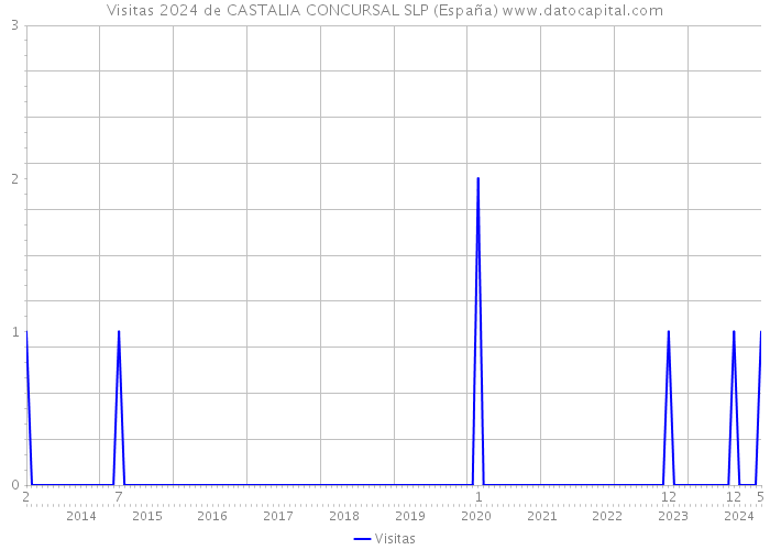 Visitas 2024 de CASTALIA CONCURSAL SLP (España) 