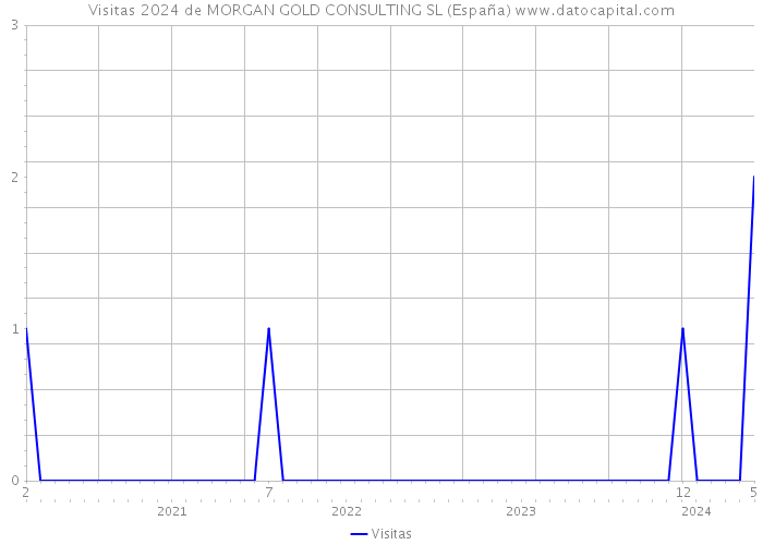 Visitas 2024 de MORGAN GOLD CONSULTING SL (España) 