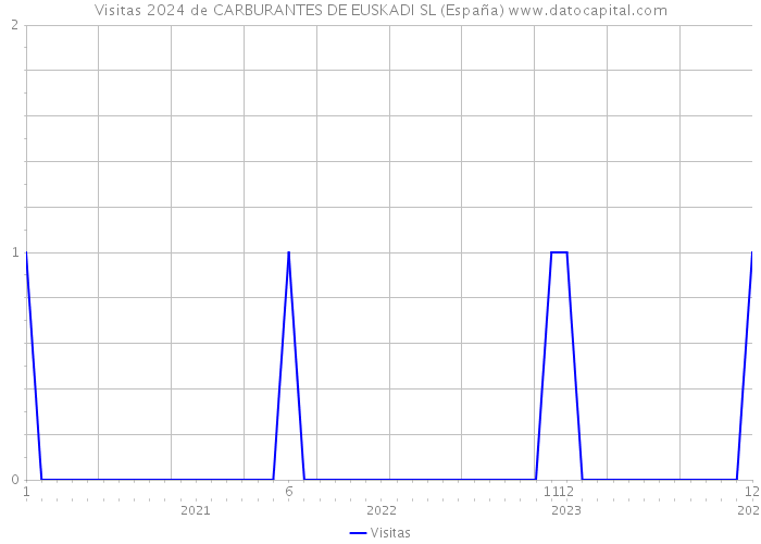 Visitas 2024 de CARBURANTES DE EUSKADI SL (España) 