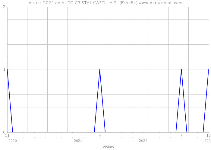 Visitas 2024 de AUTO CRISTAL CASTILLA SL (España) 