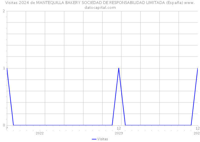 Visitas 2024 de MANTEQUILLA BAKERY SOCIEDAD DE RESPONSABILIDAD LIMITADA (España) 