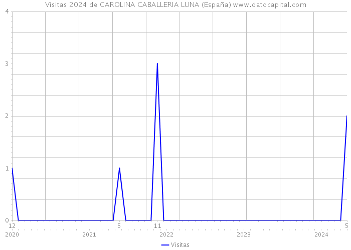 Visitas 2024 de CAROLINA CABALLERIA LUNA (España) 