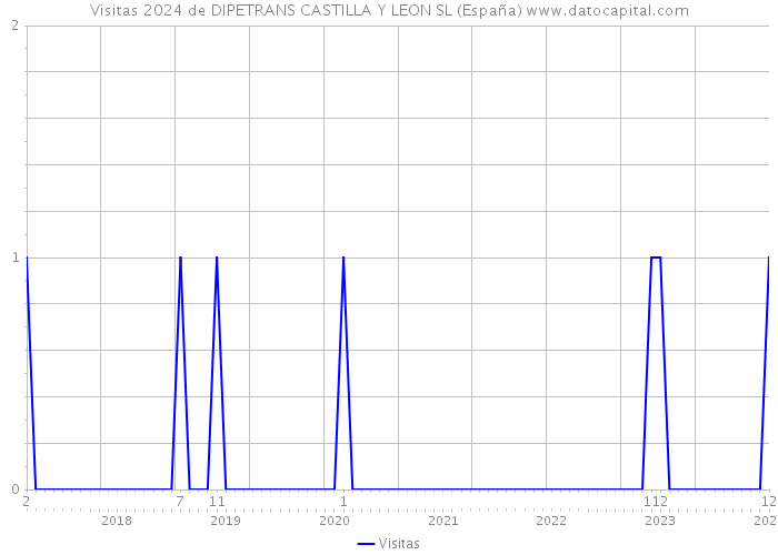 Visitas 2024 de DIPETRANS CASTILLA Y LEON SL (España) 