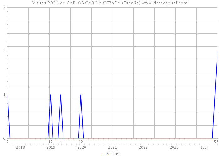Visitas 2024 de CARLOS GARCIA CEBADA (España) 