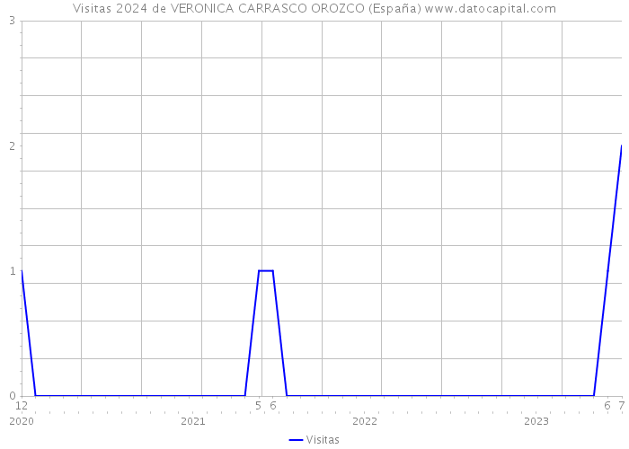 Visitas 2024 de VERONICA CARRASCO OROZCO (España) 