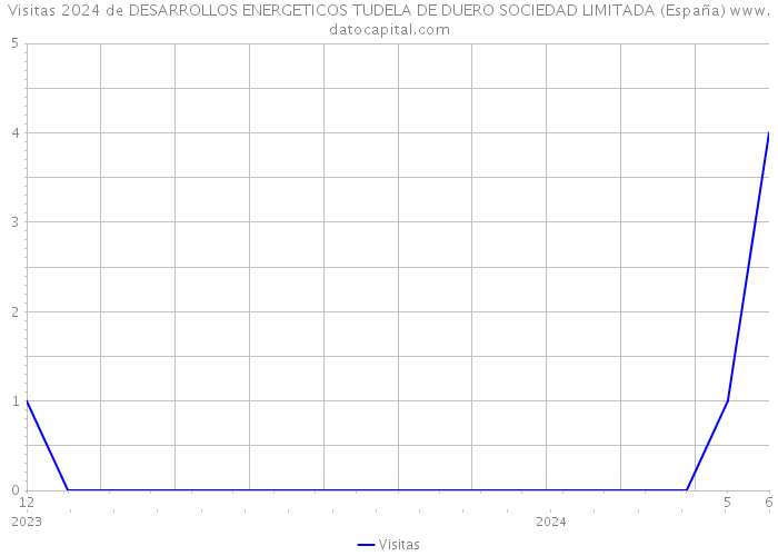 Visitas 2024 de DESARROLLOS ENERGETICOS TUDELA DE DUERO SOCIEDAD LIMITADA (España) 