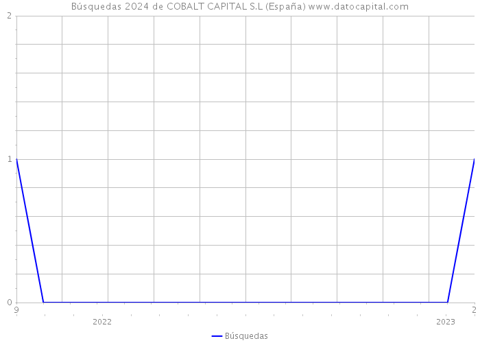 Búsquedas 2024 de COBALT CAPITAL S.L (España) 
