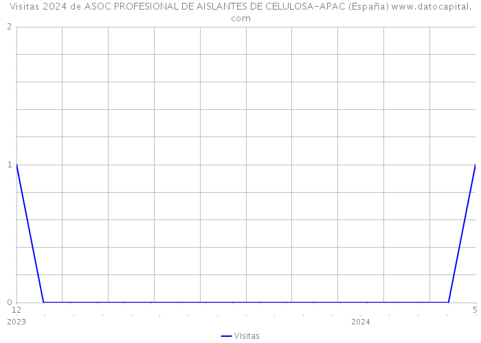 Visitas 2024 de ASOC PROFESIONAL DE AISLANTES DE CELULOSA-APAC (España) 