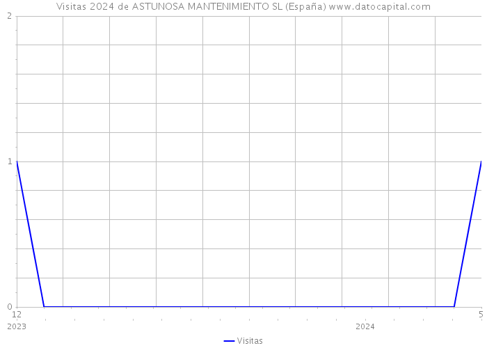 Visitas 2024 de ASTUNOSA MANTENIMIENTO SL (España) 