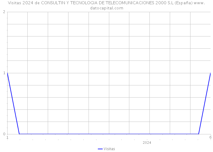 Visitas 2024 de CONSULTIN Y TECNOLOGIA DE TELECOMUNICACIONES 2000 S.L (España) 