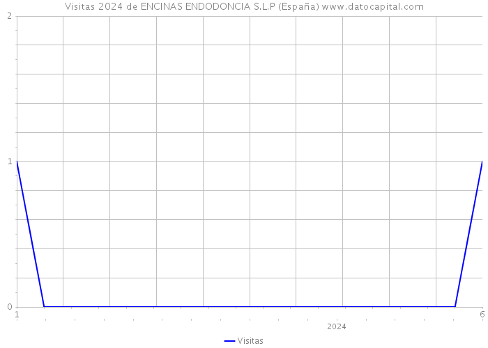 Visitas 2024 de ENCINAS ENDODONCIA S.L.P (España) 