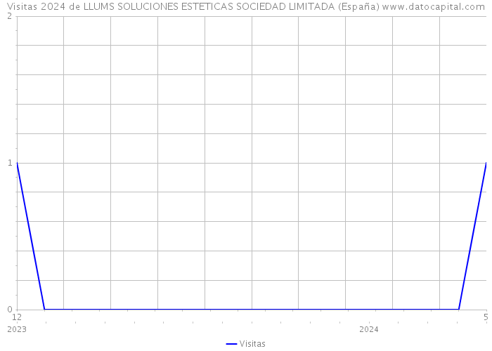 Visitas 2024 de LLUMS SOLUCIONES ESTETICAS SOCIEDAD LIMITADA (España) 