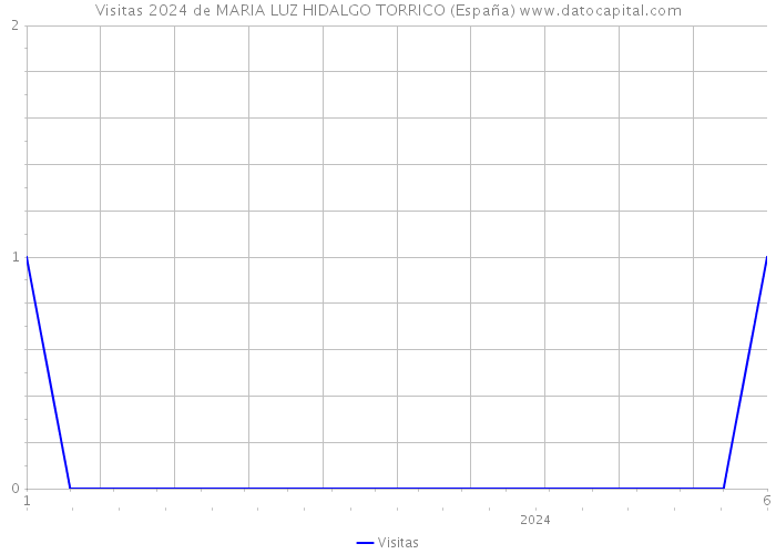 Visitas 2024 de MARIA LUZ HIDALGO TORRICO (España) 