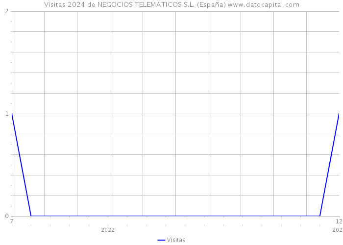 Visitas 2024 de NEGOCIOS TELEMATICOS S.L. (España) 
