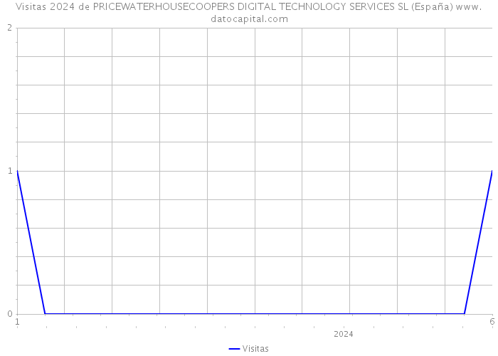 Visitas 2024 de PRICEWATERHOUSECOOPERS DIGITAL TECHNOLOGY SERVICES SL (España) 