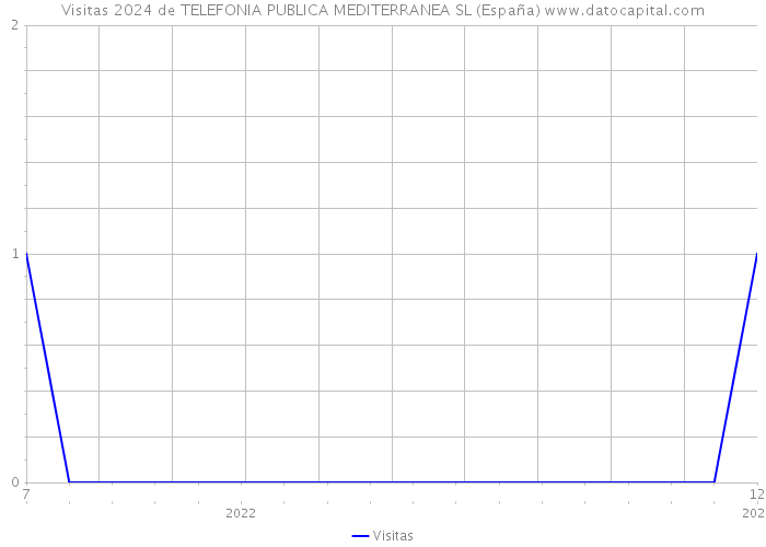 Visitas 2024 de TELEFONIA PUBLICA MEDITERRANEA SL (España) 