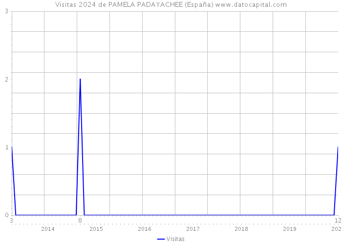 Visitas 2024 de PAMELA PADAYACHEE (España) 