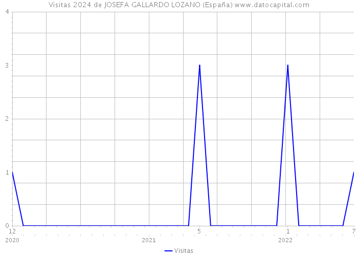 Visitas 2024 de JOSEFA GALLARDO LOZANO (España) 