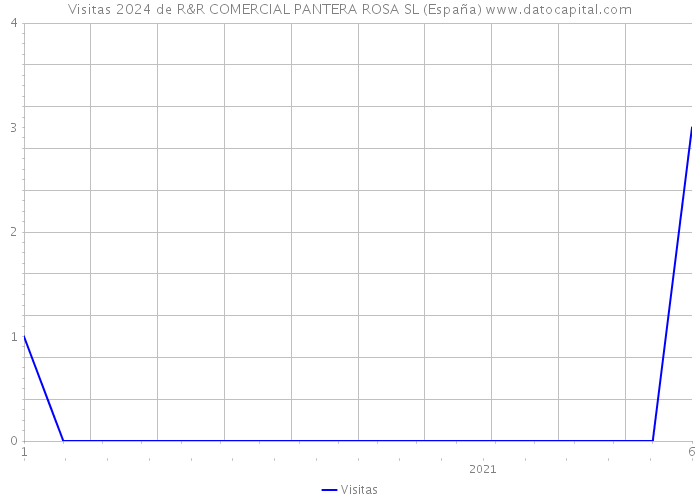 Visitas 2024 de R&R COMERCIAL PANTERA ROSA SL (España) 