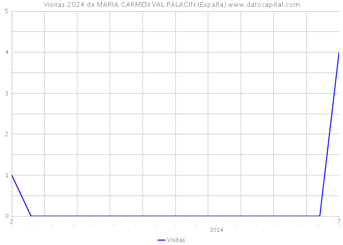 Visitas 2024 de MARIA CARMEN VAL PALACIN (España) 