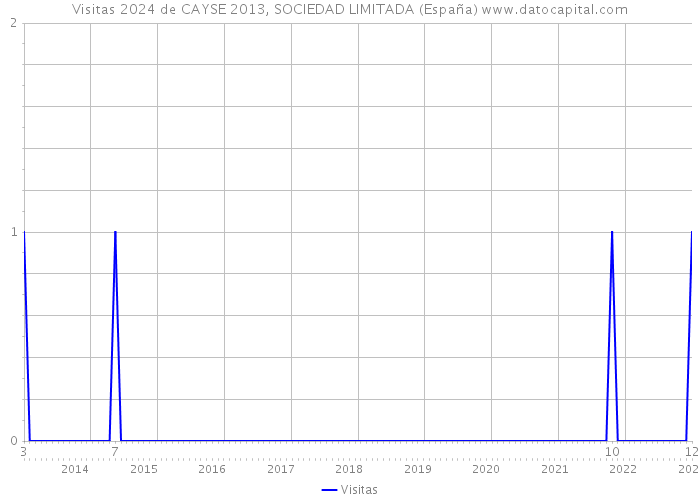 Visitas 2024 de CAYSE 2013, SOCIEDAD LIMITADA (España) 