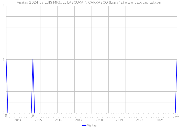 Visitas 2024 de LUIS MIGUEL LASCURAIN CARRASCO (España) 