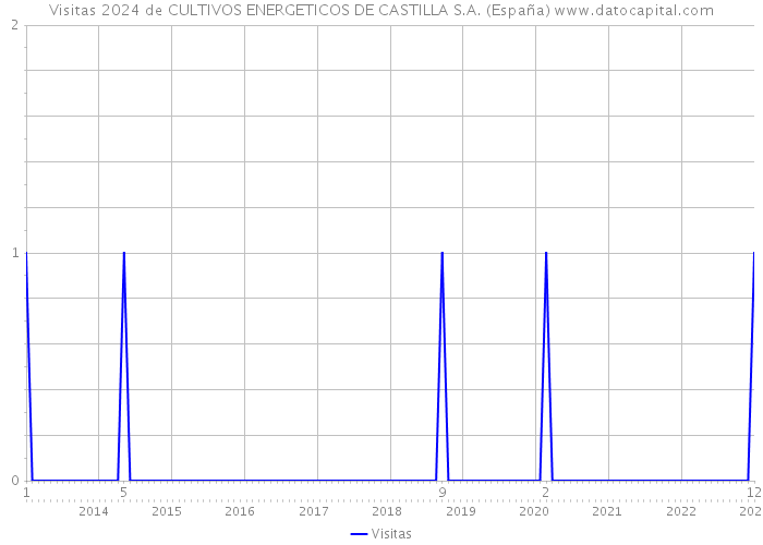 Visitas 2024 de CULTIVOS ENERGETICOS DE CASTILLA S.A. (España) 