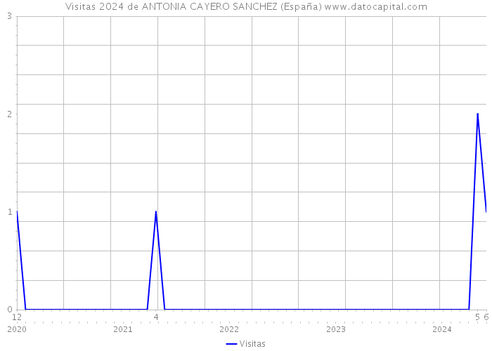 Visitas 2024 de ANTONIA CAYERO SANCHEZ (España) 