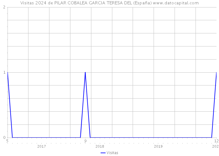 Visitas 2024 de PILAR COBALEA GARCIA TERESA DEL (España) 