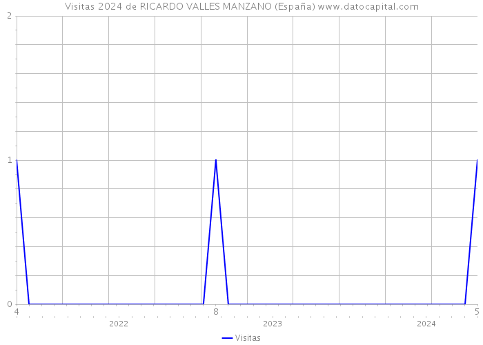 Visitas 2024 de RICARDO VALLES MANZANO (España) 