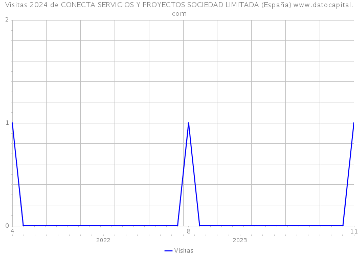 Visitas 2024 de CONECTA SERVICIOS Y PROYECTOS SOCIEDAD LIMITADA (España) 