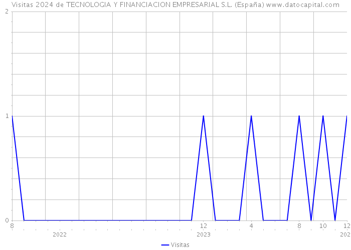 Visitas 2024 de TECNOLOGIA Y FINANCIACION EMPRESARIAL S.L. (España) 