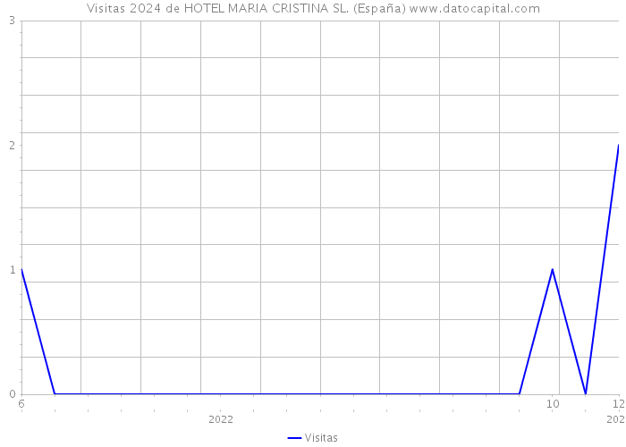Visitas 2024 de HOTEL MARIA CRISTINA SL. (España) 
