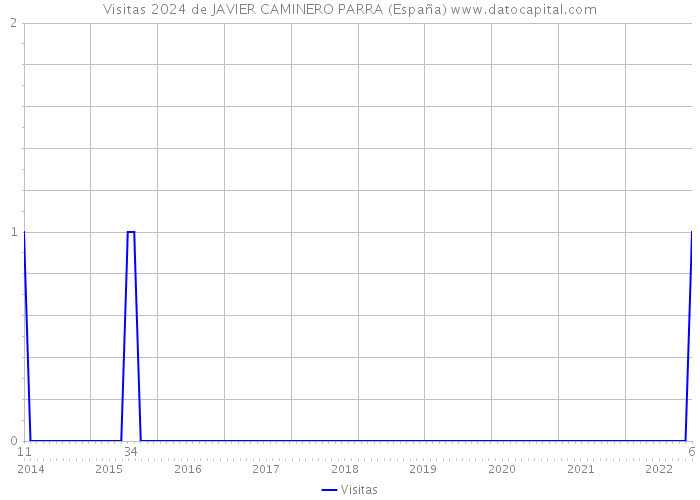 Visitas 2024 de JAVIER CAMINERO PARRA (España) 