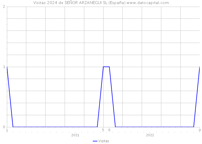 Visitas 2024 de SEÑOR ARZANEGUI SL (España) 