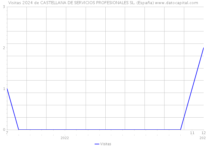 Visitas 2024 de CASTELLANA DE SERVICIOS PROFESIONALES SL. (España) 