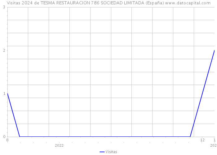 Visitas 2024 de TESMA RESTAURACION 786 SOCIEDAD LIMITADA (España) 