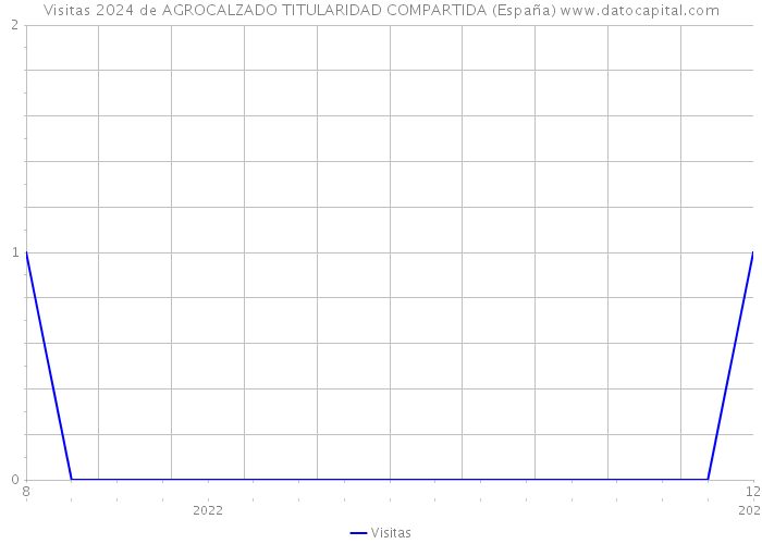 Visitas 2024 de AGROCALZADO TITULARIDAD COMPARTIDA (España) 