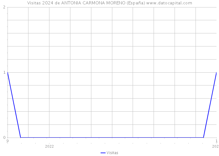 Visitas 2024 de ANTONIA CARMONA MORENO (España) 