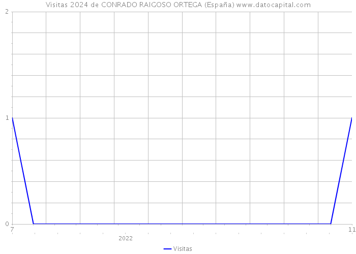 Visitas 2024 de CONRADO RAIGOSO ORTEGA (España) 