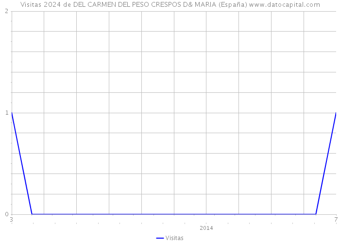Visitas 2024 de DEL CARMEN DEL PESO CRESPOS D& MARIA (España) 