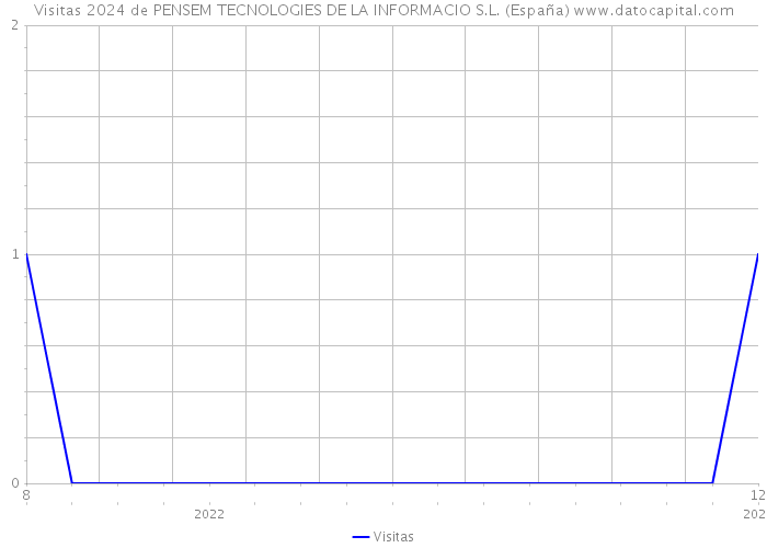 Visitas 2024 de PENSEM TECNOLOGIES DE LA INFORMACIO S.L. (España) 