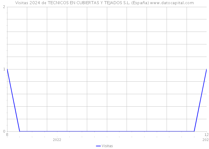 Visitas 2024 de TECNICOS EN CUBIERTAS Y TEJADOS S.L. (España) 