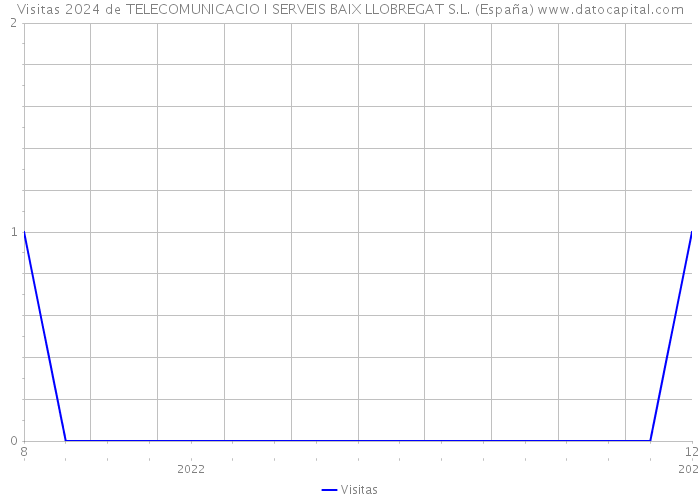Visitas 2024 de TELECOMUNICACIO I SERVEIS BAIX LLOBREGAT S.L. (España) 