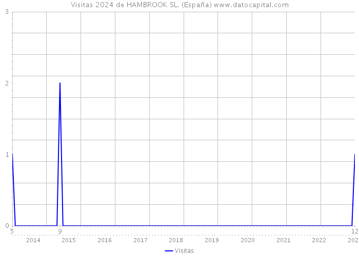 Visitas 2024 de HAMBROOK SL. (España) 