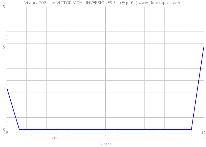 Visitas 2024 de VICTOR VIDAL INVERSIONES SL. (España) 