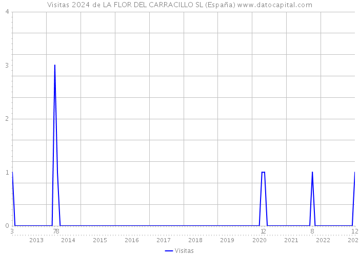 Visitas 2024 de LA FLOR DEL CARRACILLO SL (España) 