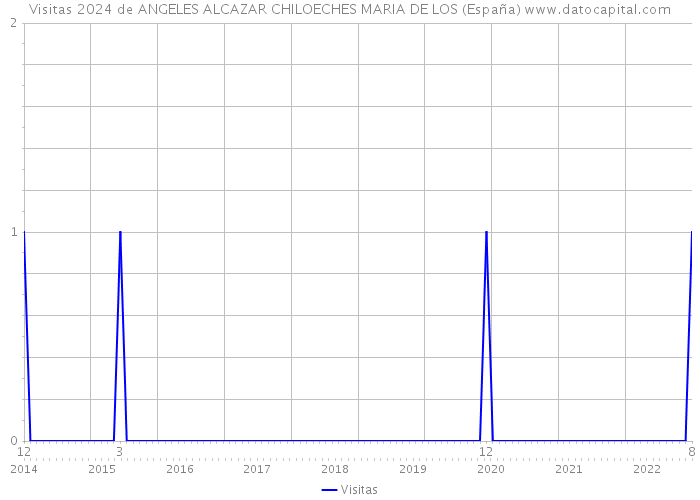 Visitas 2024 de ANGELES ALCAZAR CHILOECHES MARIA DE LOS (España) 