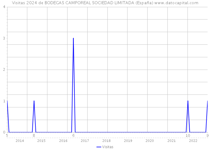 Visitas 2024 de BODEGAS CAMPOREAL SOCIEDAD LIMITADA (España) 